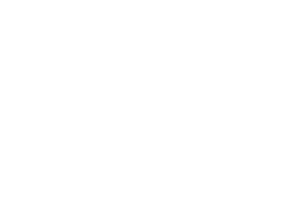 Elmatek Logo ELMATEK AB PROFESSIONAL MOTOR ENGINEERING